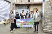 برگزاری اردوی جهاد دامپزشکی شهرستان بروجرد در اعیاد شعبانیه